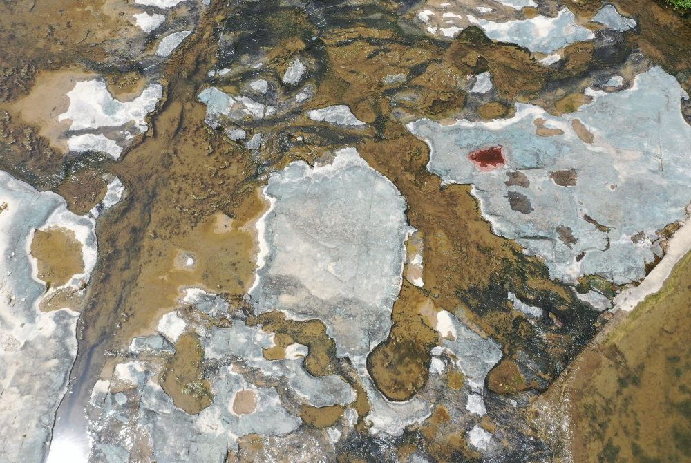 신흥리 공룡발자국 화석산지 이미지