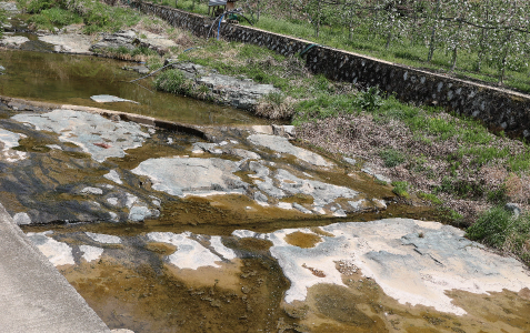 신흥리 공룡발자국 화석산지 이미지