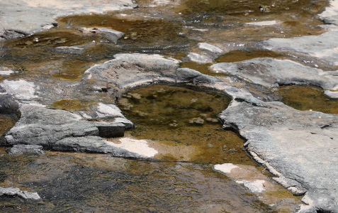 신흥리 공룡발자국 화석산지 이미지
