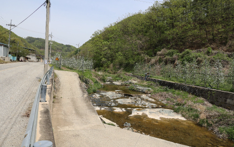 신흥리 공룡발자국 화석산지 이미지