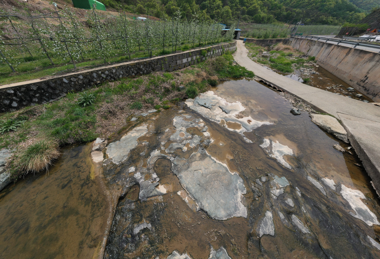 신흥리 공룡발자국 화석산지 이미지