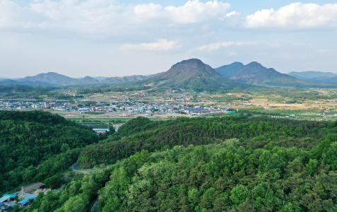 청로리 화석산지 이미지