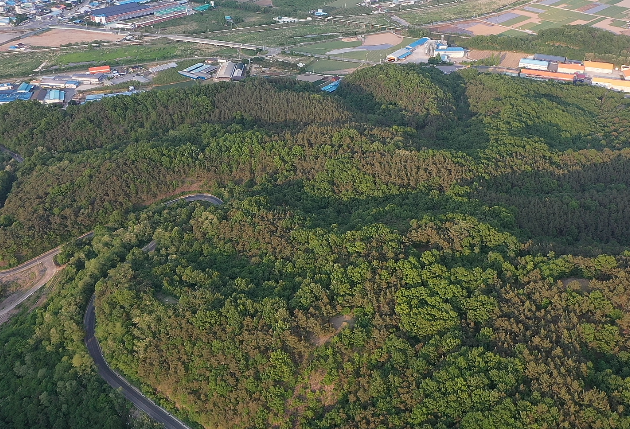 청로리 화석산지 이미지