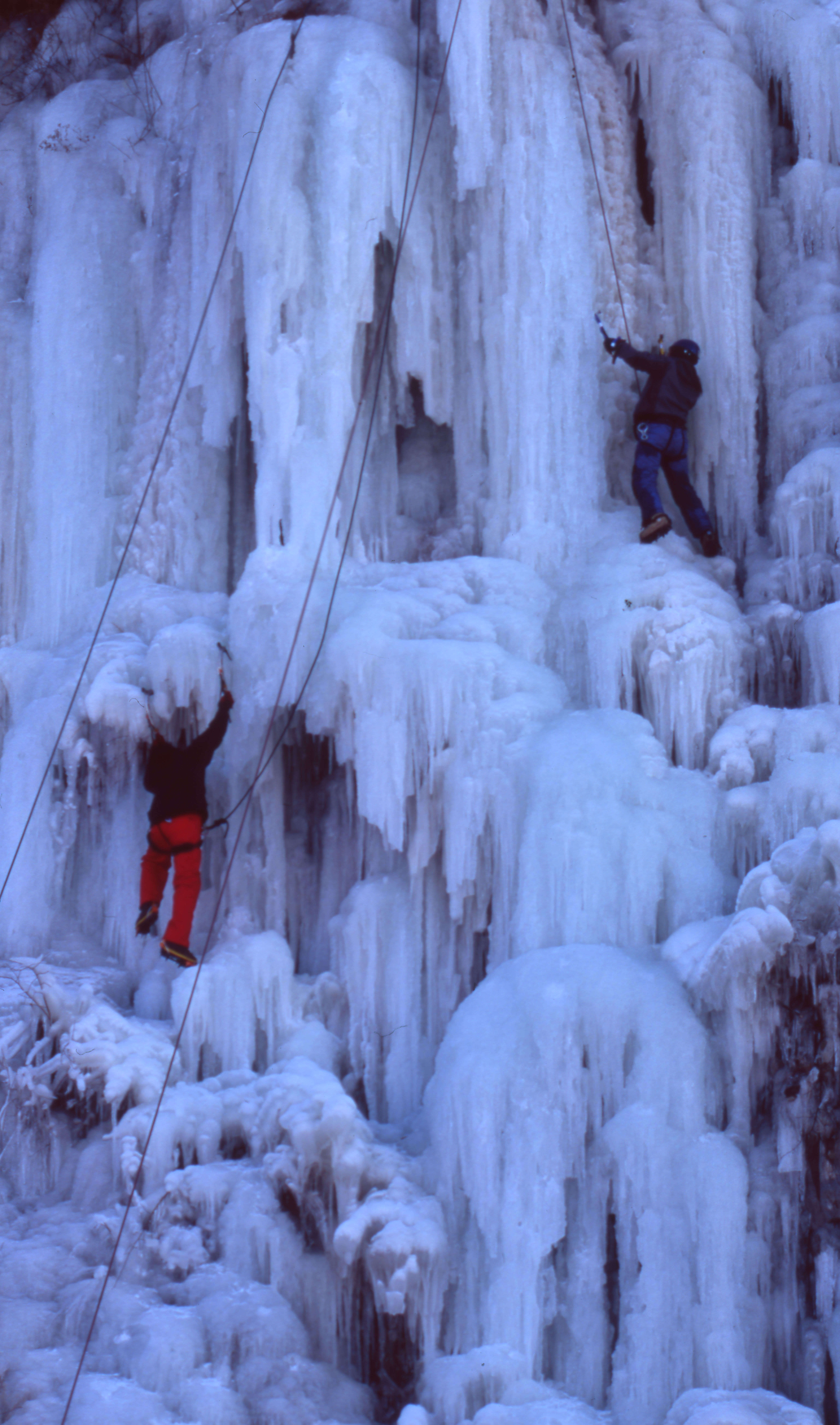 다운로드 불가 이미지
