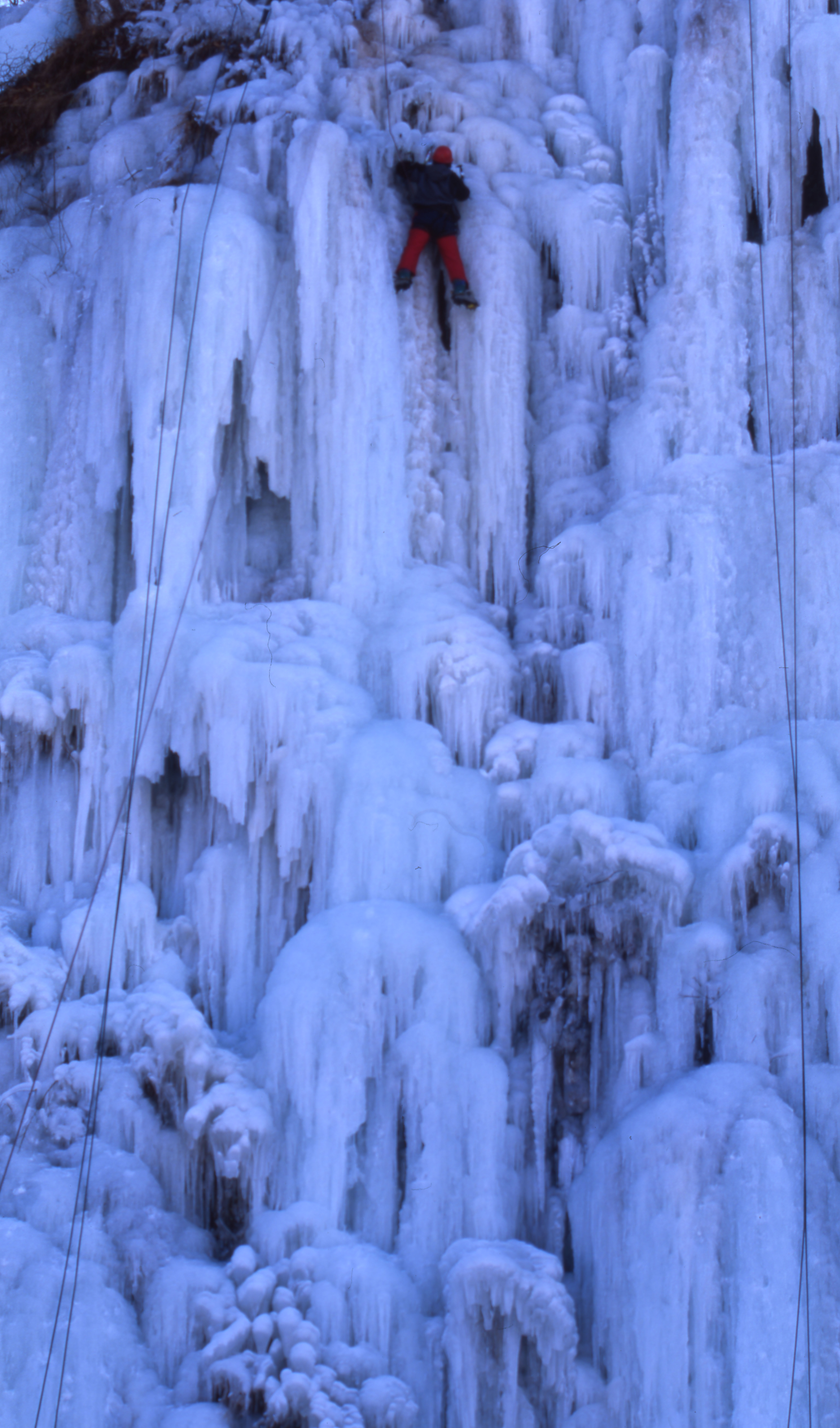 다운로드 불가 이미지