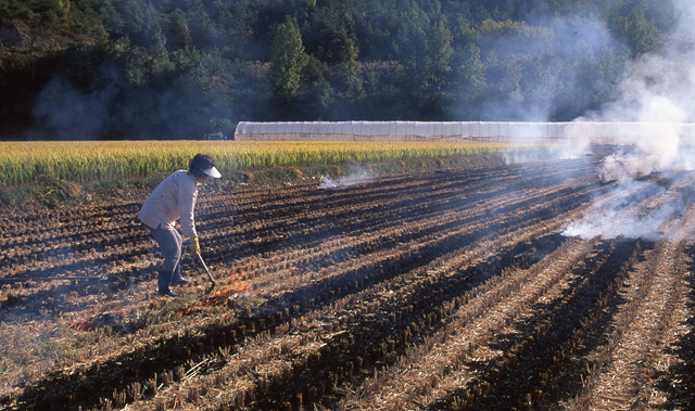 다운로드 불가 이미지