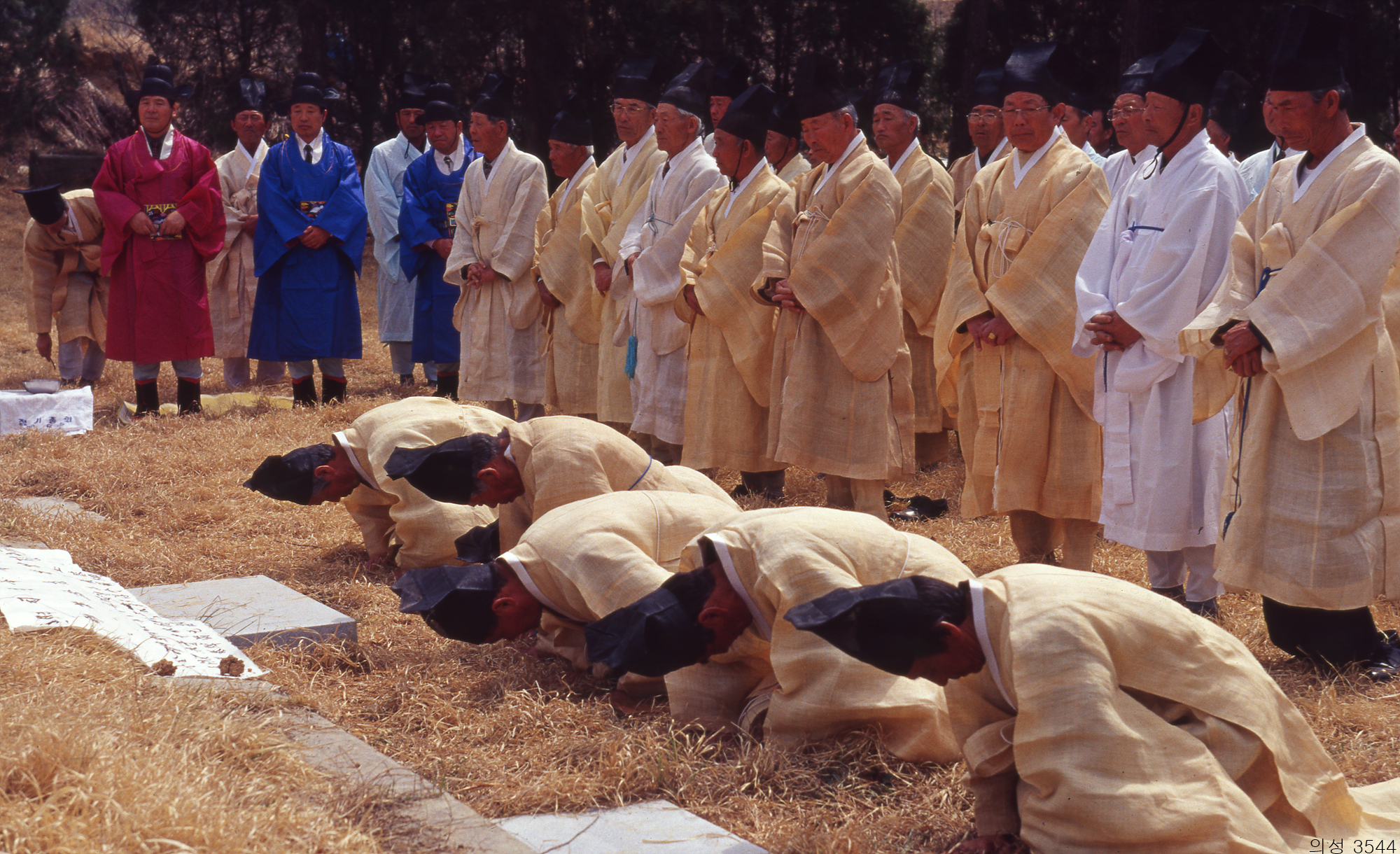 다운로드 불가 이미지