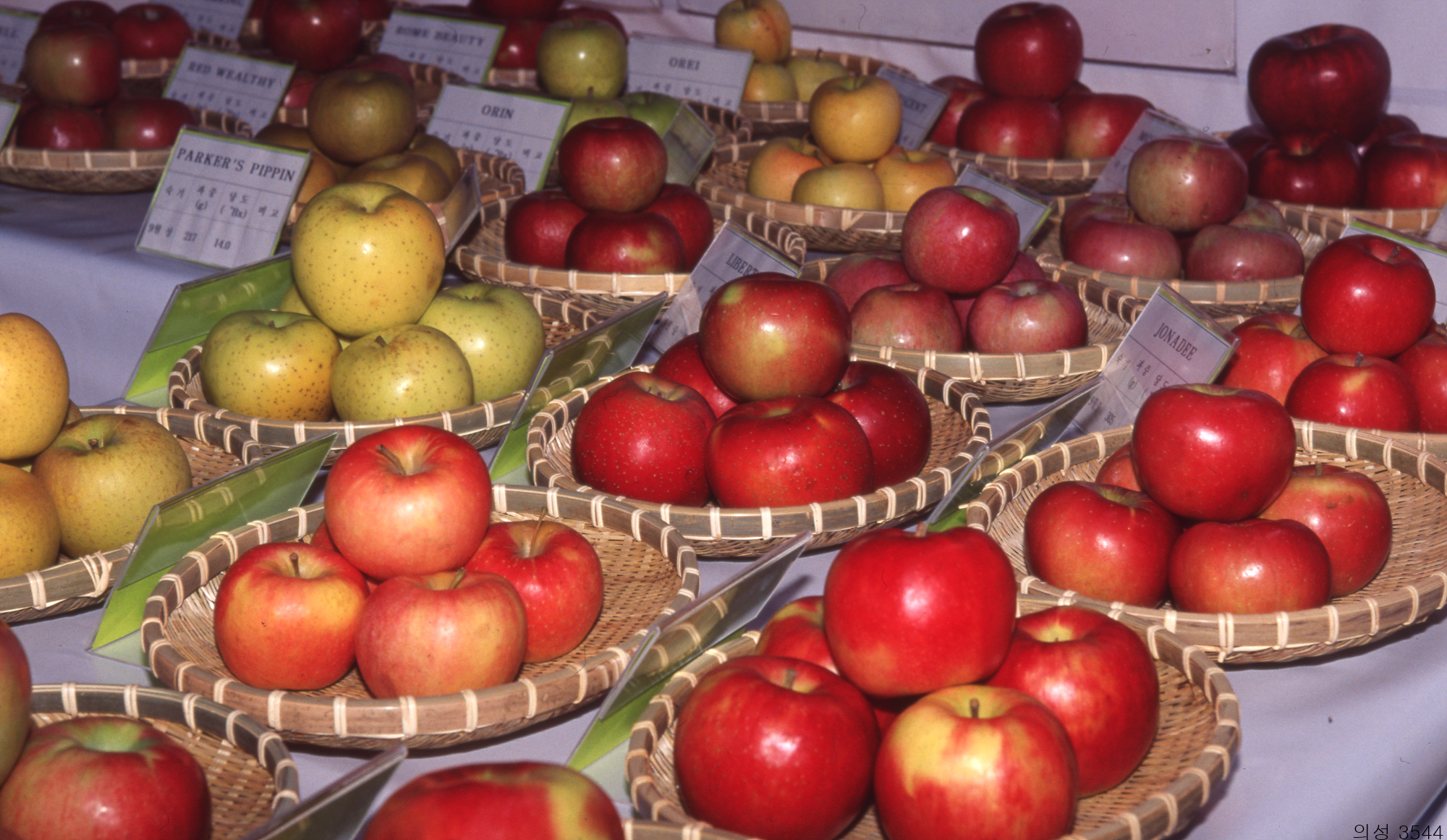 다운로드 불가 이미지