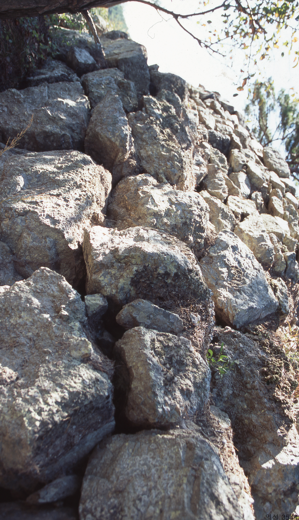 다운로드 불가 이미지