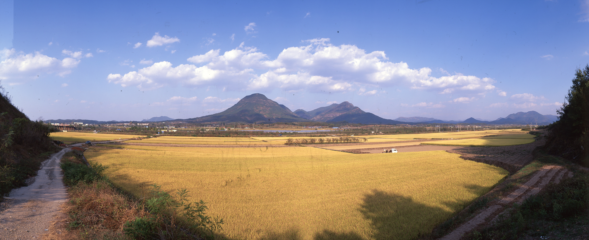다운로드 불가 이미지