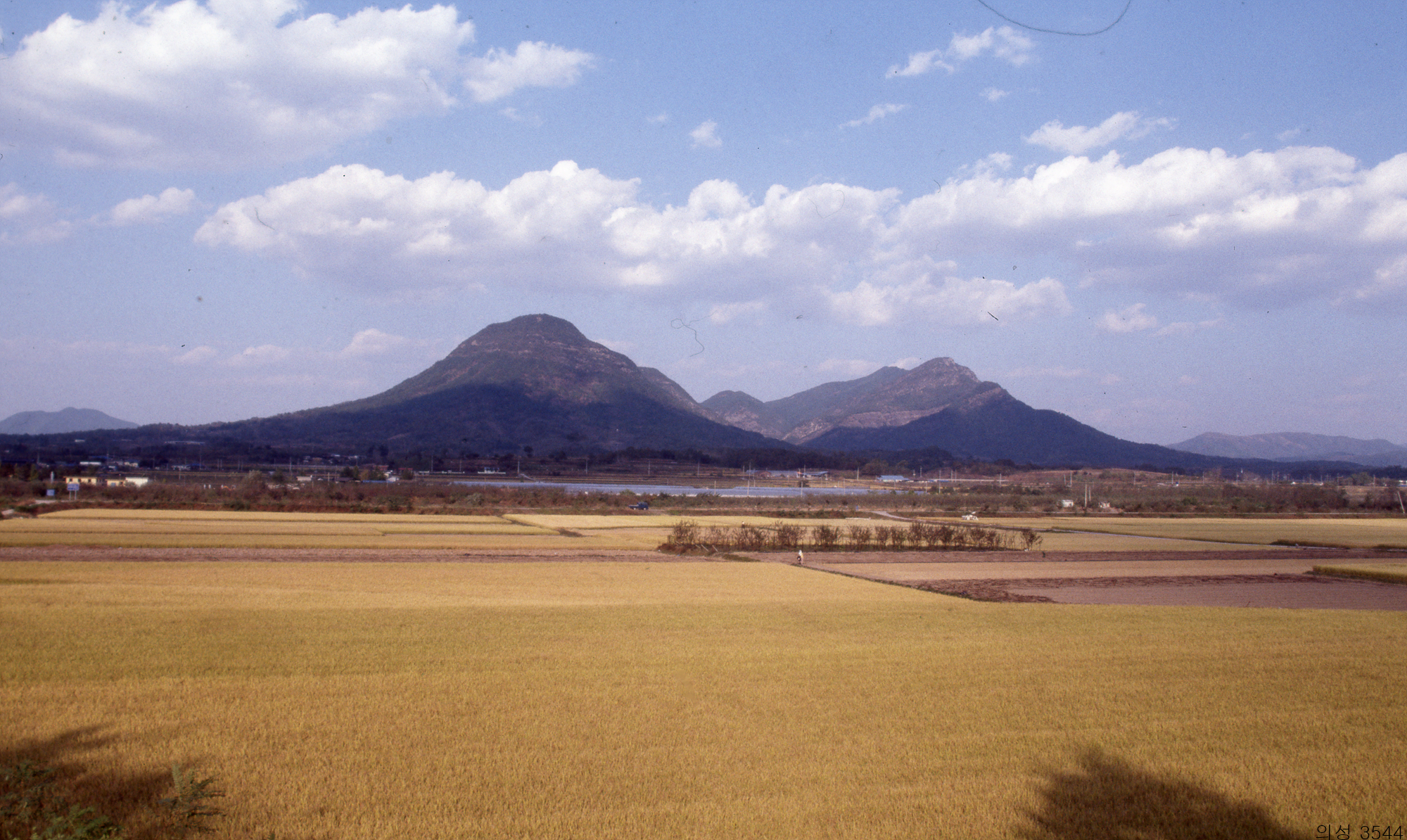 다운로드 불가 이미지