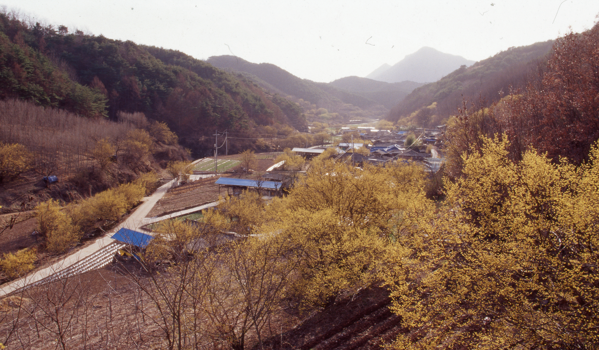 다운로드 불가 이미지