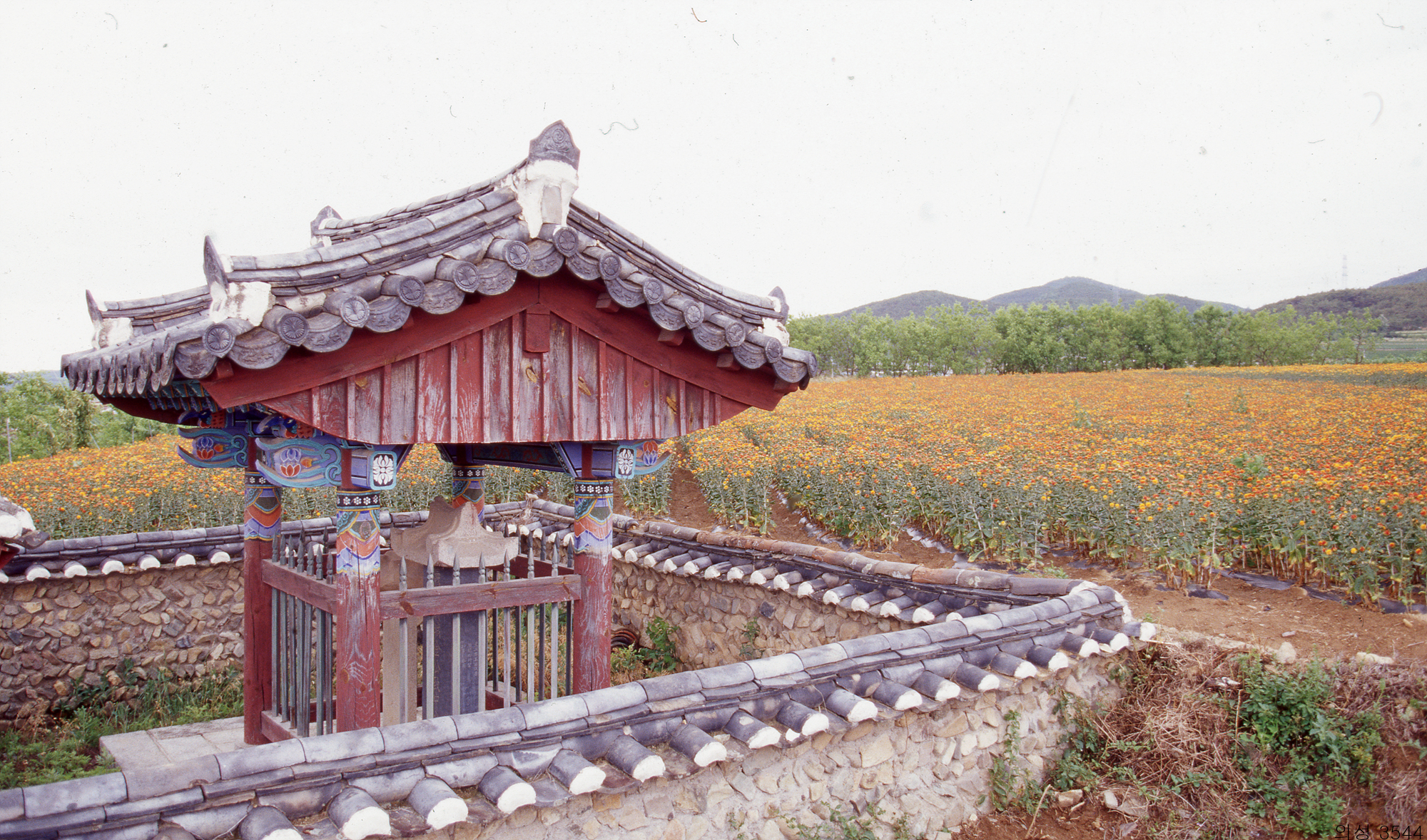 다운로드 불가 이미지