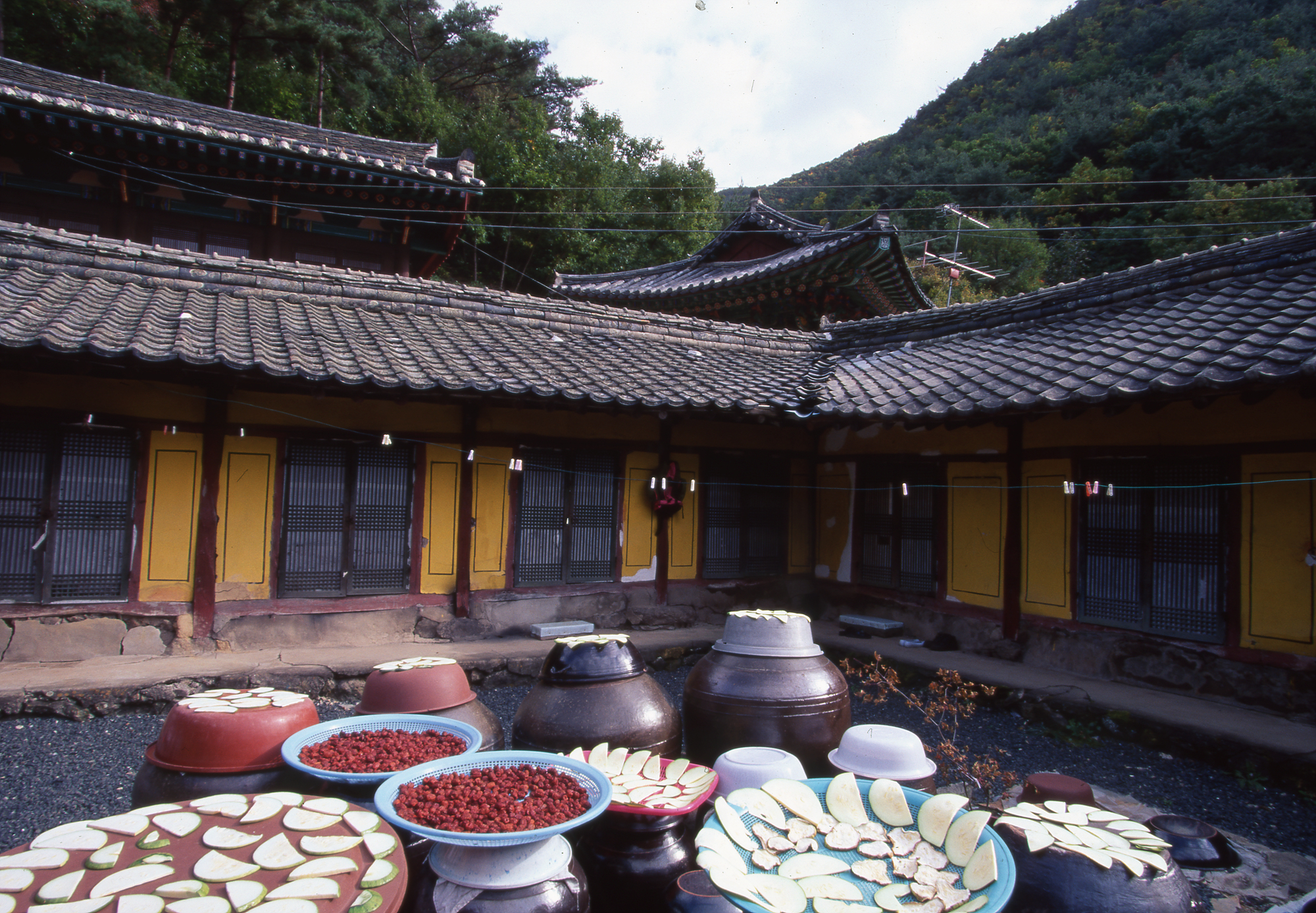 다운로드 불가 이미지