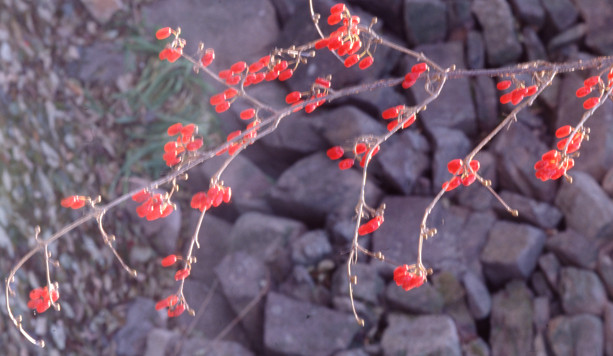 다운로드 불가 이미지