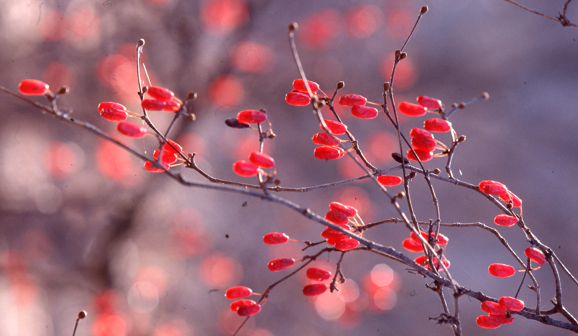 다운로드 불가 이미지