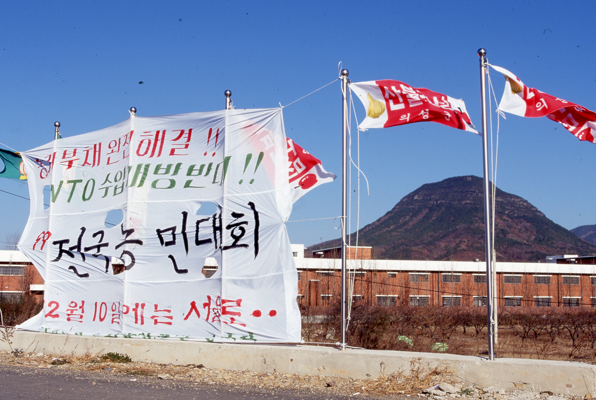 다운로드 불가 이미지
