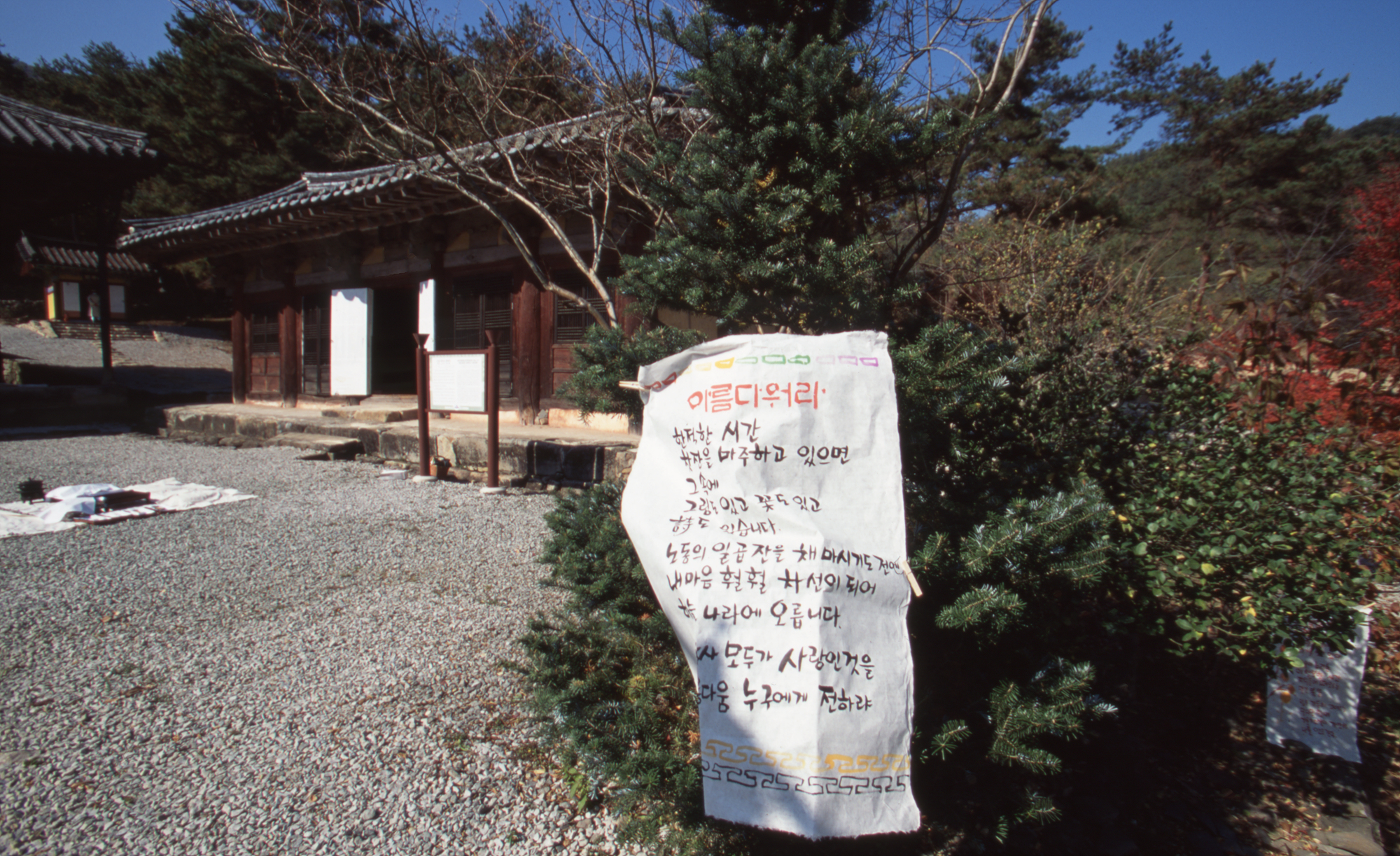 다운로드 불가 이미지